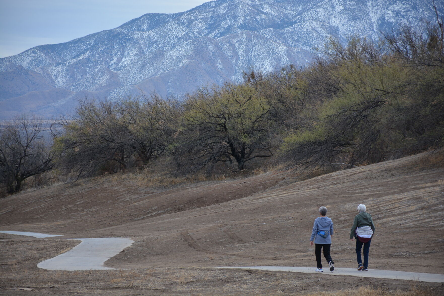 Canoa Hills Trails